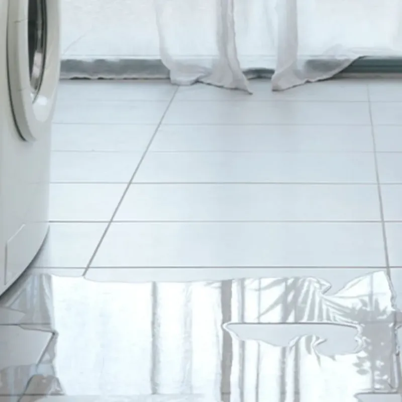 Appliance Leak Cleanup in Fall River, WI