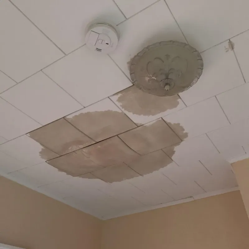 Ceiling Water Damage Repair in Fall River, WI