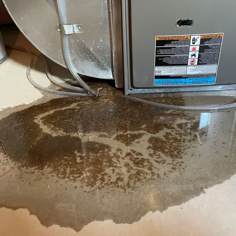 Pipe Burst and Leak Restoration in Fall River, WI