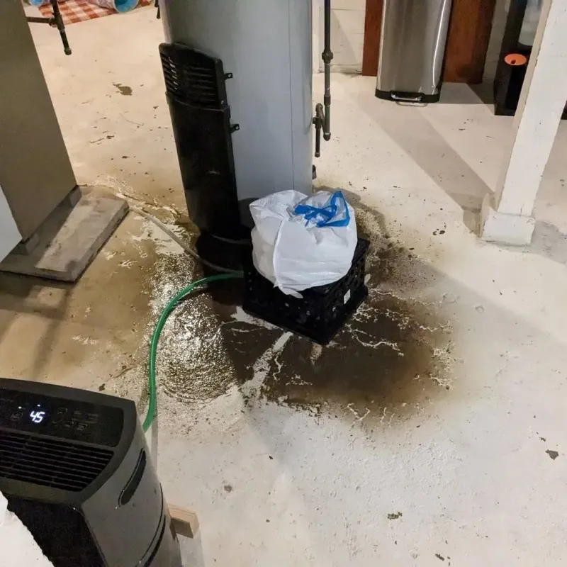Sewage Backup Cleanup Service in Fall River, WI